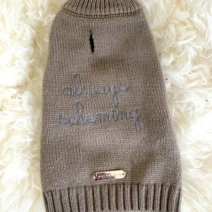 Cute Max & Bone Doggie Sweater!